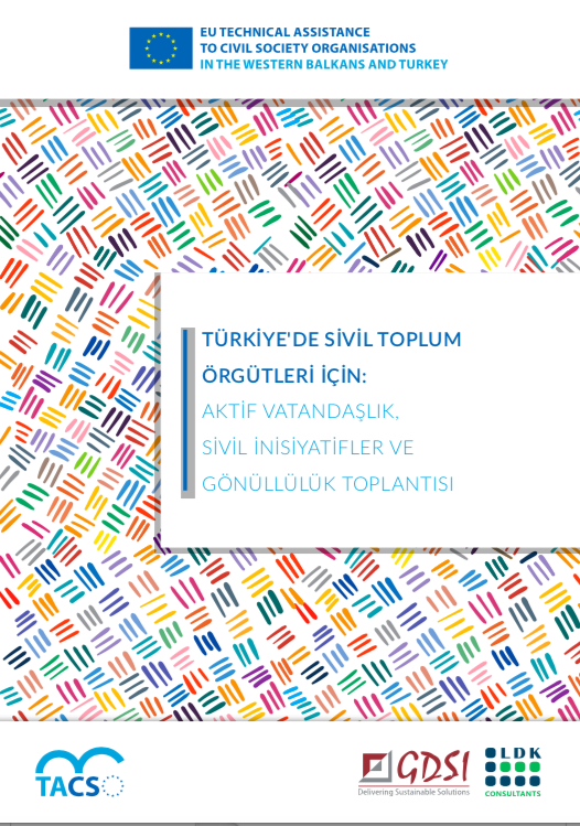 Civil Society Networking in Turkey:  Active Citizenship, Civic Initiatives and Volunteerism